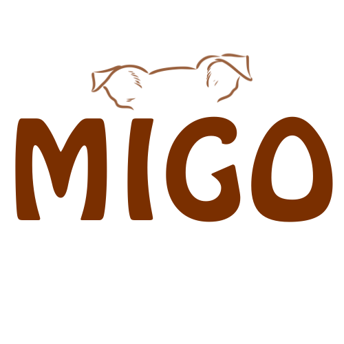 MIGO